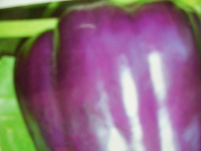 Purple Capsicum Seeds